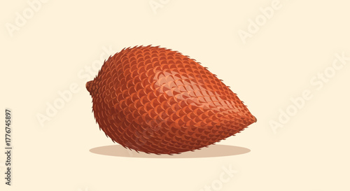 Exotic Salak Fruit Illustration Isolated On Subtle Background With Shadow Detail