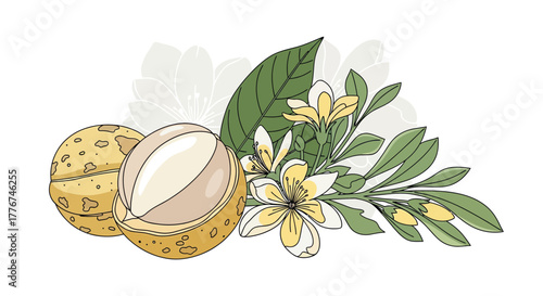 Exquisite Illustration Showcasing Exotic Nuts, Delicate Floral Arrangements, and Elegant Details