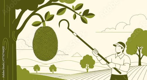 Farmer Harvesting a Ripe Jackfruit Using a Pole in a Sunny Rural Landscape