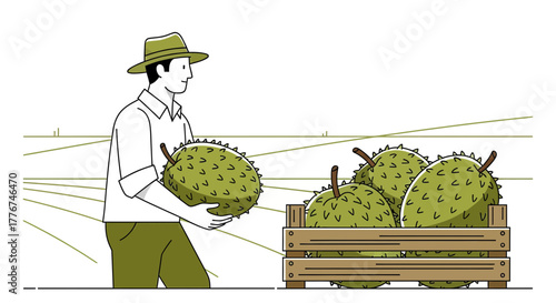 Farmer Harvesting Durian Fruit Cartoon Illustration From a Tropical Plantation Setting