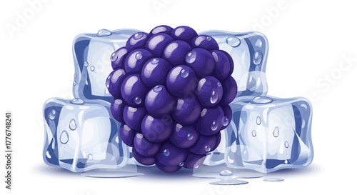 Fresh Blackberry Surrounded by Ice Cubes: A Refreshing Summer Treat Illustration