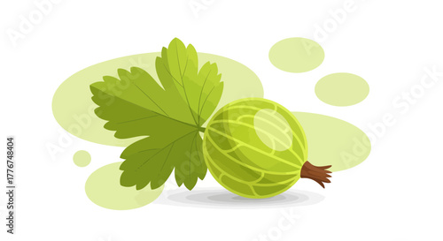 Fresh Gooseberry And Leaf: A Healthy And Natural Illustration in Vibrant Green