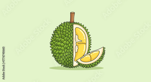 Fresh Durian Fruit Illustration Showing Yellow Flesh and Green Exterior on a Green Backdrop