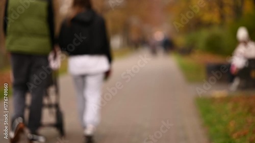 people walking in the park
