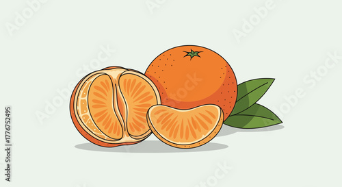 Fresh Mandarin Illustration: A Vibrant Depiction Of Citrus Fruit Cut In Half With Slices