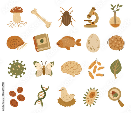 Biology set in scandinavian style showing mushroom, bone, beetle, microscope, flask, shell, book, fish, egg, cells, virus, butterfly, brain, bacteria, leaf