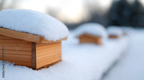 Wallpaper Mural A serene winter scene featuring small, wooden structures dusted with fresh snow, evoking a sense of quiet solitude. The gentle bokeh background enhances the ethereal atmosphere. Torontodigital.ca