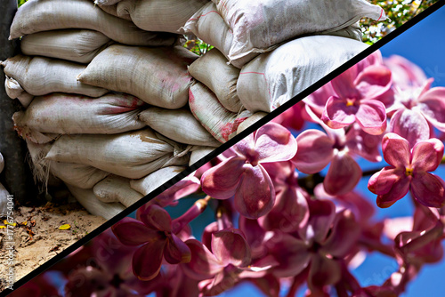 Wallpaper Mural War or peace. Textured burlap sacks are stacked neatly on one side, contrasting with vibrant pink flowers blooming on other side, showcasing beauty of nature and industrial elements in harmony Torontodigital.ca