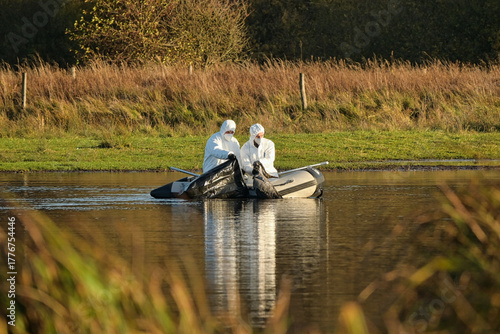 Bergung an Geflügelpest verstorbener Kraniche in Brandenburg.
