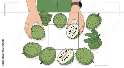 Fresh Soursop Illustration Showing Hands Presenting Tropical Fruit with Unique Texture Display