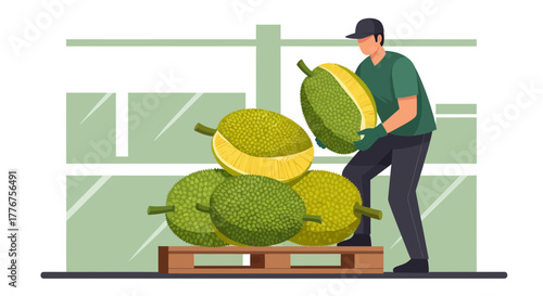 Fresh Produce Worker Loads Jackfruit on Pallet in Tropical Food Production Facility