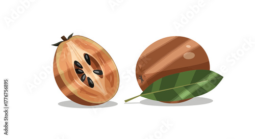 Freshly Cut Sapodilla Fruit With Its Leaf, Presented on a Pure White Background