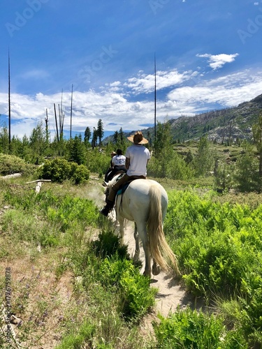 horseback rider in the mountains