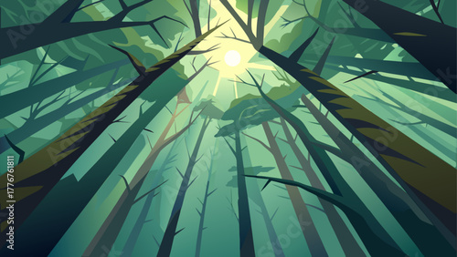 Looking up through the trees to the bright sunlight