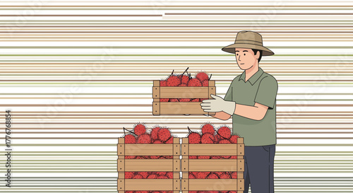 Freshly Harvested Exotic Fruit Being Carefully Loaded Into Wooden Crates