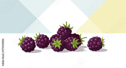 Freshly Picked Blackberries Arranged on White, With Geometric Background Illustration