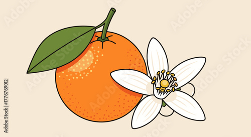 Freshly Picked Citrus Art Captures Beauty Of Orange Blossom And Ripe Fruit