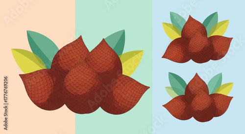 Freshly Picked Salak Fruit Arrangement With Contrasting Backgrounds and Detailed Vector Art