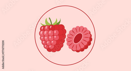 Freshly Sliced Raspberry Illustration Within A Circular Frame On A Blush Background