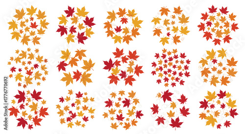 Collection of autumn maple leaves in various sizes