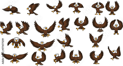 Cartoon bald eagle illustration set, flying bird vector, American symbol artwork, wildlife clipart design, majestic raptor pose collection