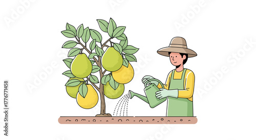 Gardener Watering Citrus Tree with Fresh Fruit, Depicting Gardening and Cultivation