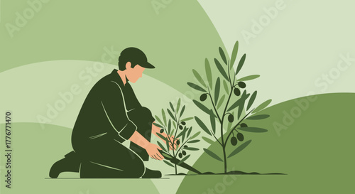 Gardener Nurturing Olive Trees In A Peaceful Environment with Green Tones