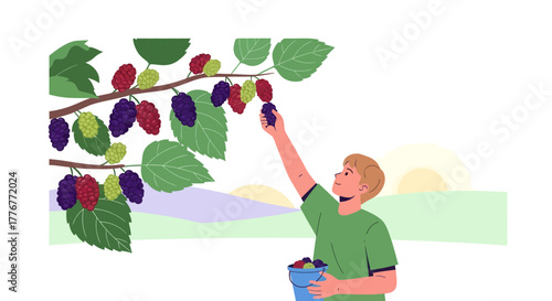Harvesting Berries: A Young Person Gathering Fruit From A Tree In Summer Time