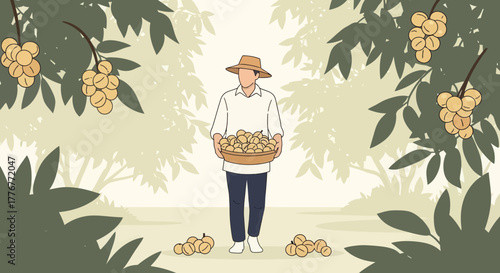 Harvesting Juicy Fruit: A Gardener in the Orchard Gathering a Fresh Bountiful Crop