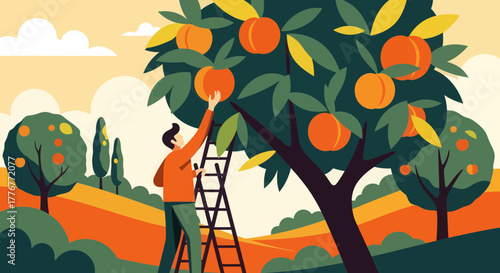 Harvesting Peaches: A Colorful Illustration of Orchard Fruit Gathering Seasonally