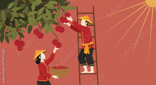Harvesting Red Rambutans: Two Workers Gathering Fruit in Warm Sunlight