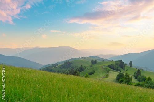 Picturesque scenery of summer-green hills under a gorgeous sunset sky, with clouds. Wildflowers on a green grass meadow. Carpathian Mountains. Ukraine.