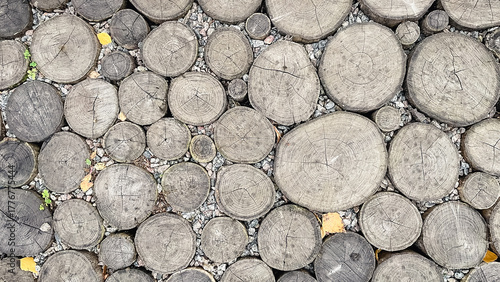 Top-down view of a rustic log slice path texture with circular wood grain patterns and small gravel