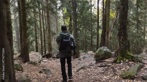 Man with backpack walking through tall trees in forest. The man travels through a dense green forest