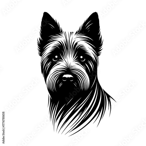 Vector illustration of a dog, Norwich Terrier, designed in blackand white strokes and lines. Family pet, love and care for animals, adoption fair. Vet clinics and grooming salon	
