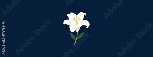 Lily flower vector graphic illustration design. Download it now in high resolution format and print it in any size