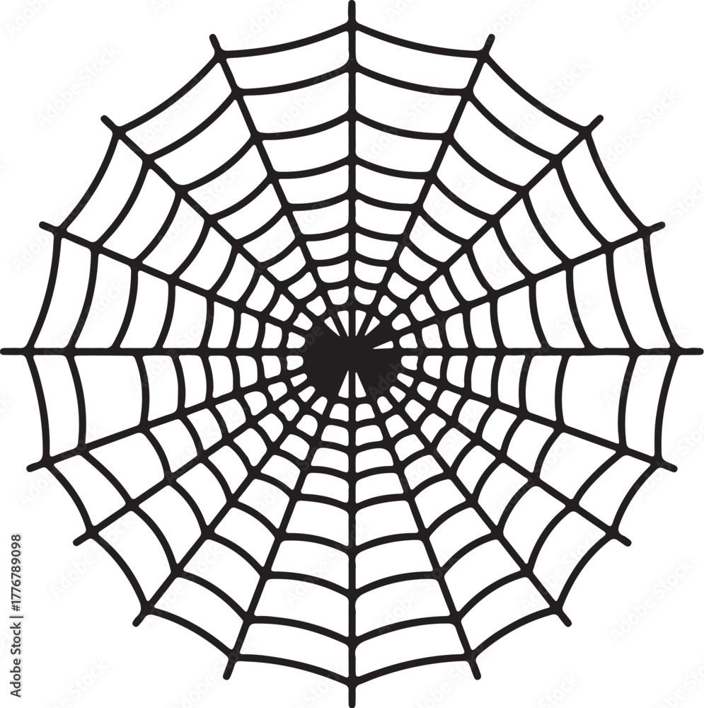 Obraz premium Black Silhouette of a Spider Web on a White Background insect arachnid on transparent background