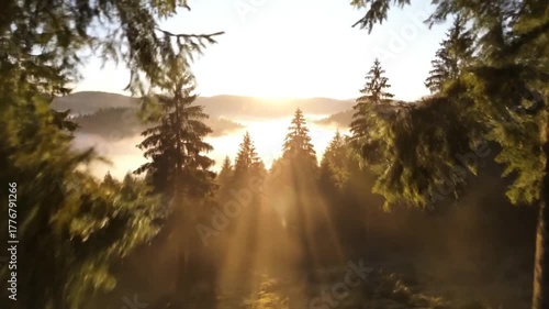 Serene forest landscape at sunrise with sunlight streaming through trees and mist over the lake