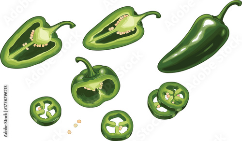 Green jalapeño pepper vector set, whole, halved, and sliced views, visible seeds, spicy food illustration, front view, flat design