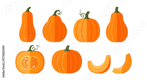 Flat design pumpkin collection for autumn harvest and halloween decor
