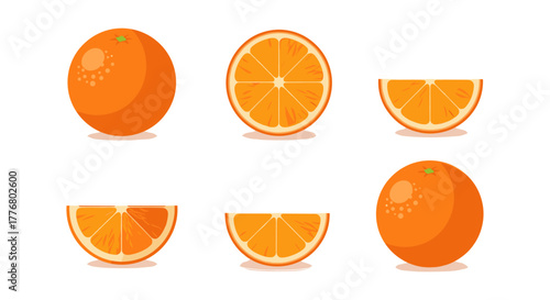 Detailed citrus fruit collection with whole and sliced oranges in realistic style