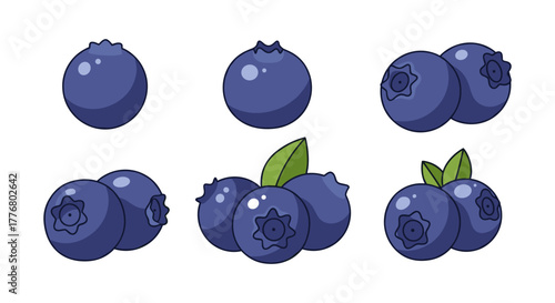 Fresh blueberry collection with leaves in cartoon style for food and nutrition design