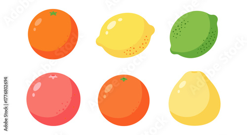 Colorful citrus fruits collection featuring oranges, lemons, limes, and grapefruits in flat design