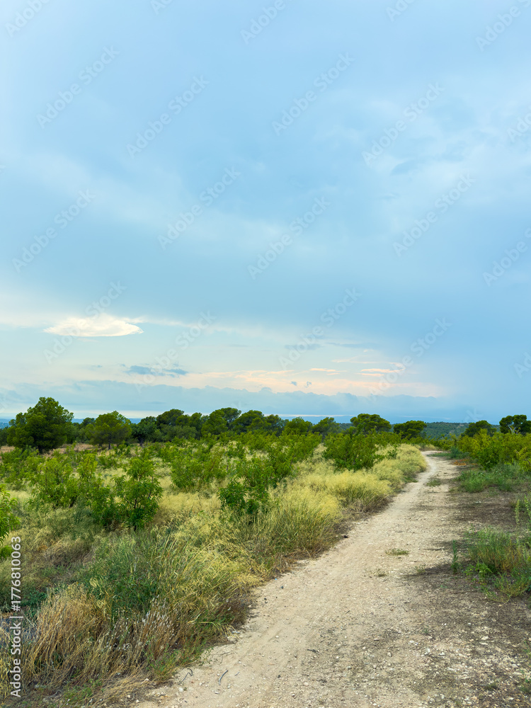 Fototapeta premium Scenic gravel path winding through vibrant green landscape under a soft blue sky in early evening light