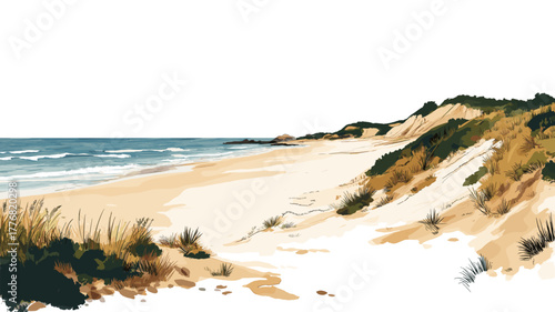 La Paloma and Cabo Polonio Beaches. La Paloma and Cabo Polonio Beaches hand drawn watercolor illustration