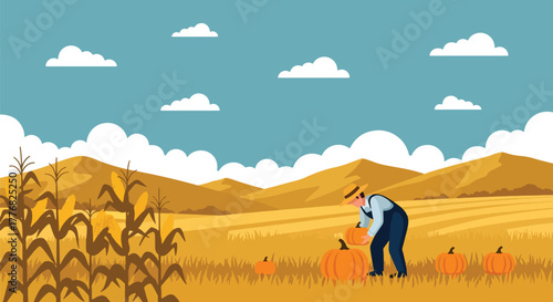 Flat vector of farmer harvesting pumpkins and corn in golden autumn field, Thanksgiving harvest gratitude theme, solid vivid tones