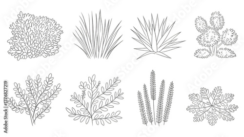 set of shrubs line cad, minimal isolated on white background. Ground cover. Illustration for elevation architectural element, side view, grass section. Turf coating banners for edging