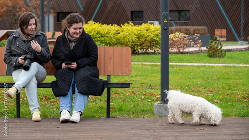 Fotografija Two Friends Relax on a Park Bench While a Dog Explores the Grassy Area During a