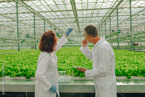 Foto Research lettuce analysis, Laboratory investigation of leaf samples using pipett
