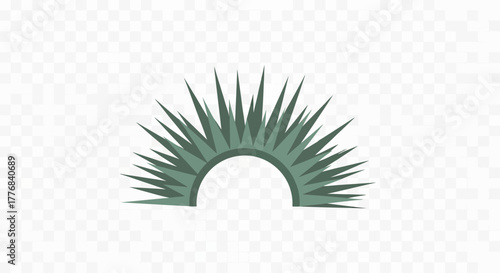 Green spiky plant leaves forming a semi-circle.